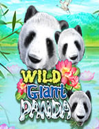 เว็บ ที่ แตก ง่าย ที่สุด ในการเล่นสล็อต